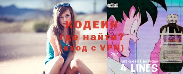 индика Наволоки