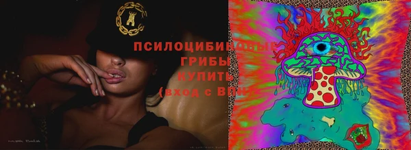 индика Наволоки