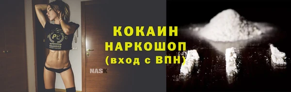 индика Наволоки