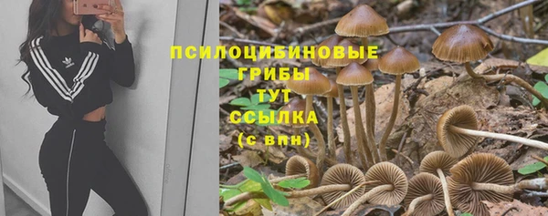 индика Наволоки
