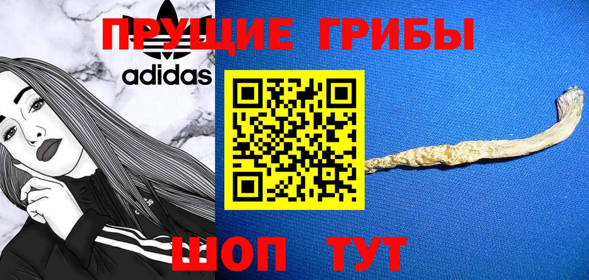 Майский  Псилоцибиновые грибы MAGIC MUSHROOMS  Вход с VPN 